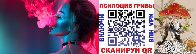 где можно купить Болхов hydra ссылки Галлюциногенные грибы ЛСД